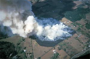 image01